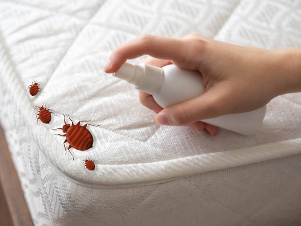 Best Pest Control for Multi-Family Homes  in Mahanoy City, PA